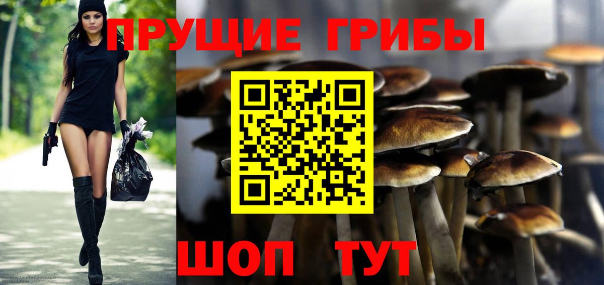Галлюциногенные грибы Cubensis  где найти   Россошь  Вход с VPN 